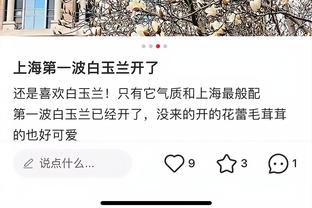开云电竞app官网下载安卓手机